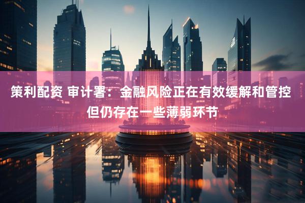 策利配资 审计署：金融风险正在有效缓解和管控 但仍存在一些薄弱环节