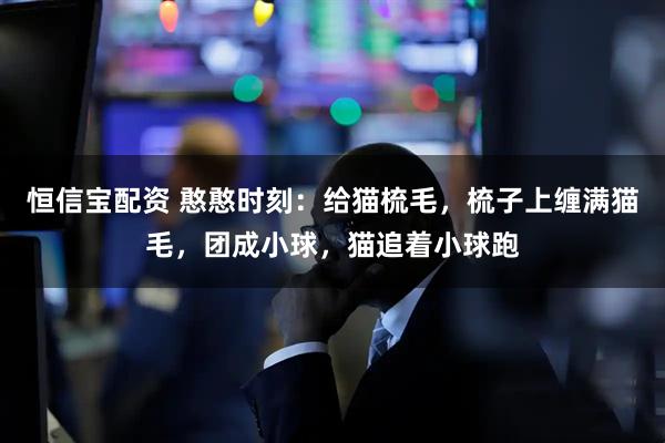 恒信宝配资 憨憨时刻：给猫梳毛，梳子上缠满猫毛，团成小球，猫追着小球跑