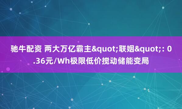 驰牛配资 两大万亿霸主"联姻": 0.36元/Wh极限低价搅动储能变局