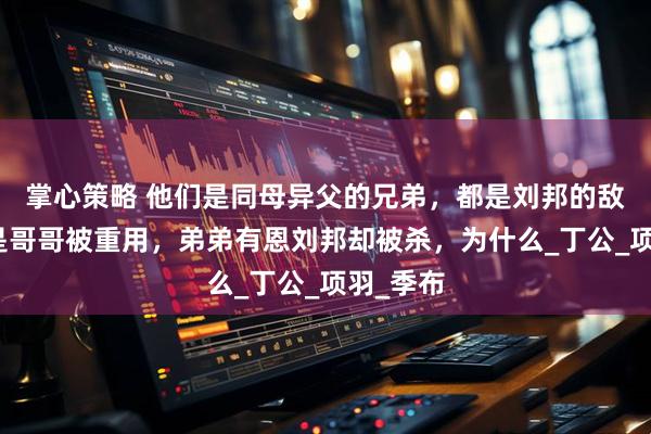 掌心策略 他们是同母异父的兄弟，都是刘邦的敌人，但是哥哥被重用，弟弟有恩刘邦却被杀，为什么_丁公_项羽_季布